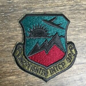 USAF 142nd FIGHTER INTERCEPTOR GROUP MILITARY PATCH SUBDUED ORG VTG MILITARY